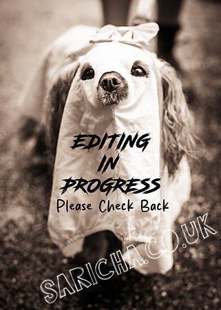 Please check back