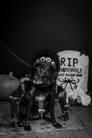 IMG_0047