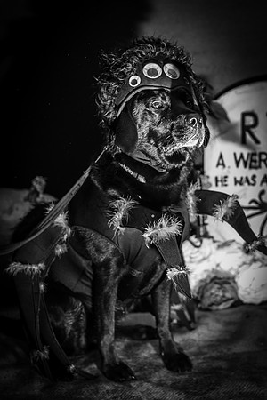 IMG_0051