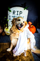 Woofoween 2024