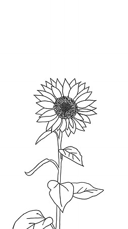 11 August making
