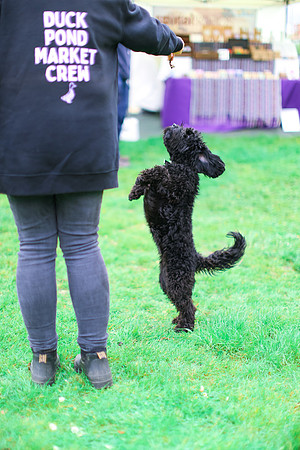 IMG_7430
